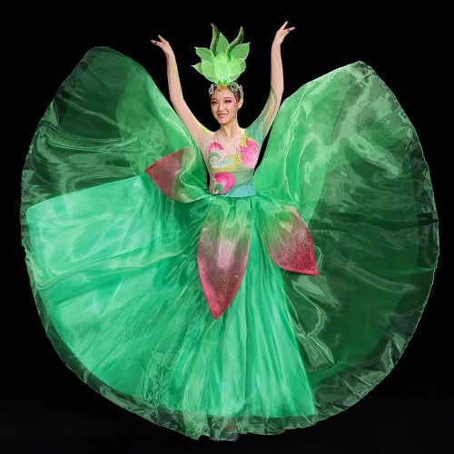 Women girls pink green petals flamenco dance dress spanish bull dance swing skirts opening dance ballroom dress folk dance costumes